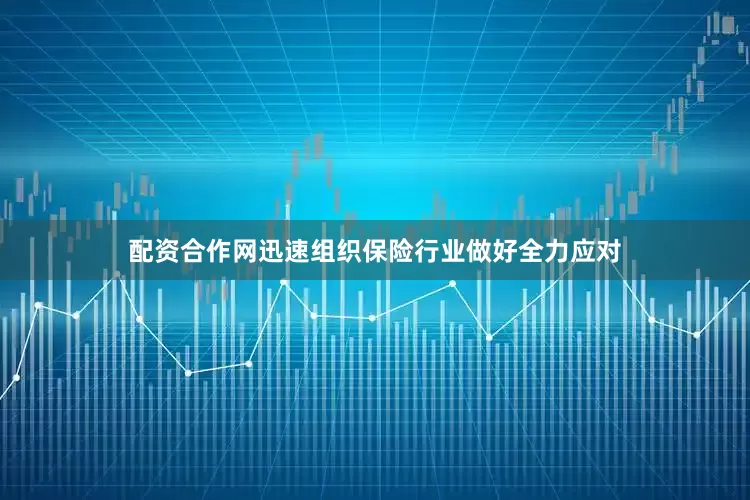 配资合作网迅速组织保险行业做好全力应对
