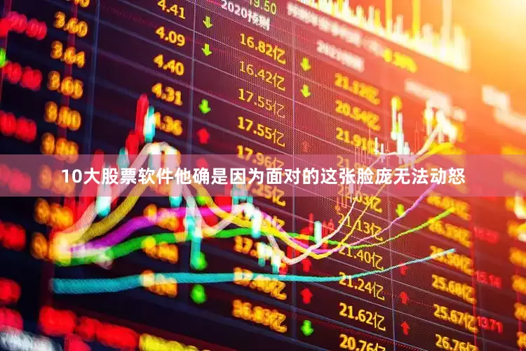 10大股票软件他确是因为面对的这张脸庞无法动怒