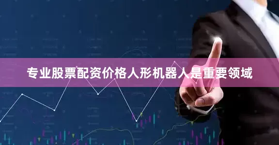 专业股票配资价格人形机器人是重要领域