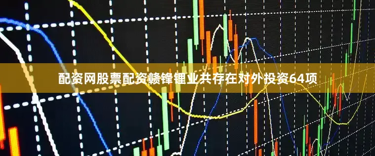 配资网股票配资赣锋锂业共存在对外投资64项