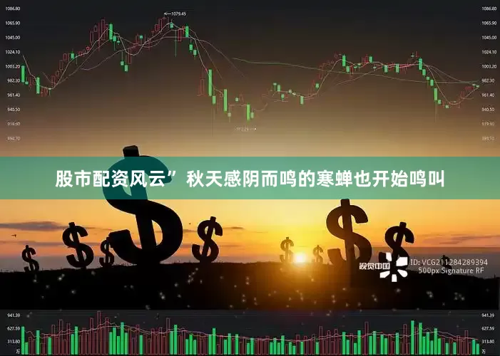 股市配资风云” 秋天感阴而鸣的寒蝉也开始鸣叫